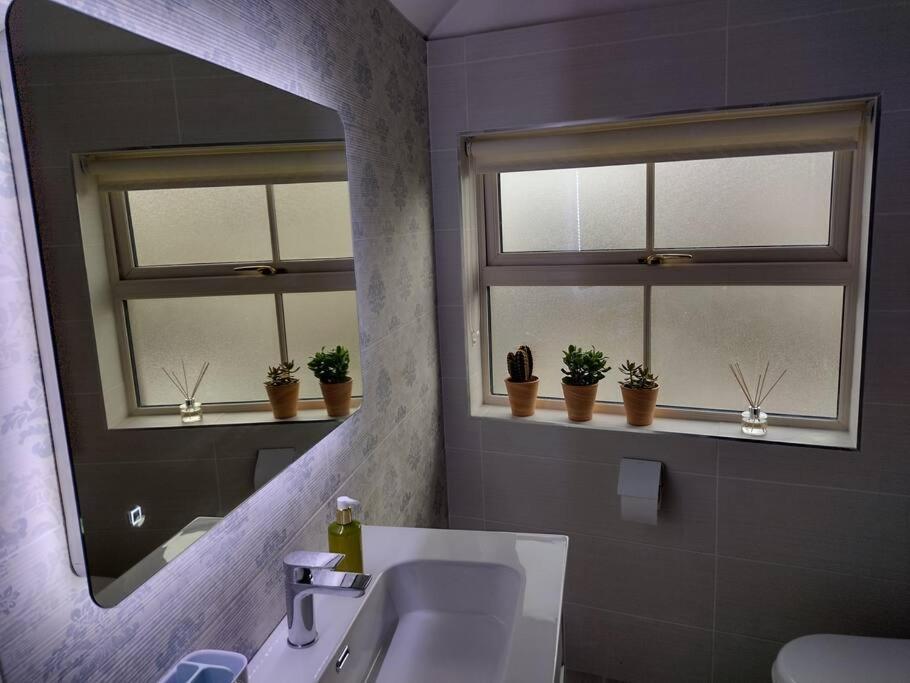 White Birds Townhouse In Sligo Town Center Apartman Kültér fotó